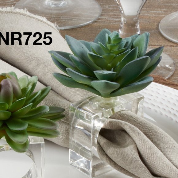 Closeout! Set of 4 Succulent Napkin Rings – Plastic & Acrylic Wedding Table Deco - Picture 1 of 2